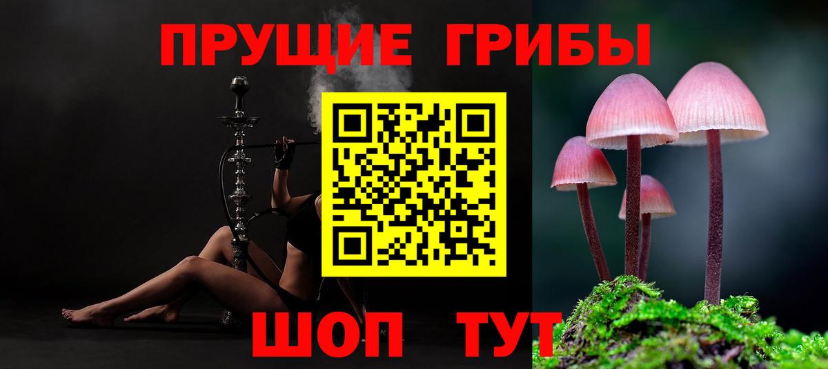 Галлюциногенные грибы ЛСД  Вход с VPN  сколько стоит  Кировск  Галлюциногенные грибы Cubensis 